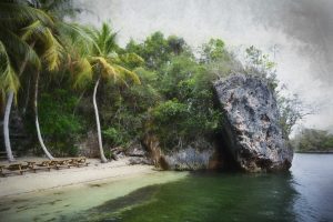 manglar-los-haitises-national-park