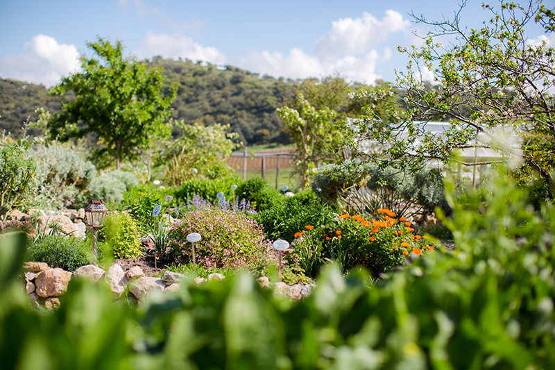 la-donaira-medicinal-garden