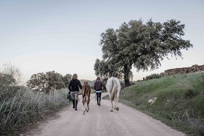 la-donaira-voluntarios-wwoof