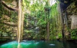 Grupo Xcaret invierte 50 millones de dólares en parque en sureste mexicano