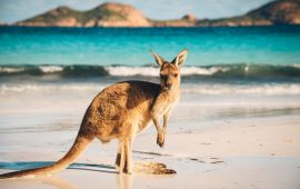 Australian states argue over opening borders for domestic tourism