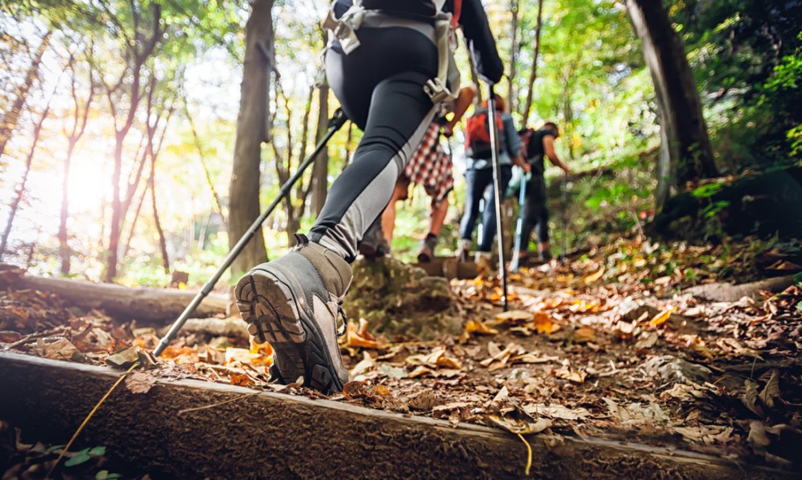 Volvemos a las excursiones con cifras récord